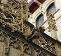 Gargoyle in Barcelona located in the Gothic quarter, Spain