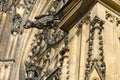 Gargoyle on building of St. Vitus Cathedral in Prague Castle, Prague, Czech Republic Royalty Free Stock Photo