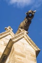 Gargoyle on the Cathedral of Barcelona Royalty Free Stock Photo