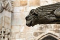 Gargoyle cathedral of Barcelona.