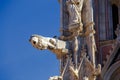 Siena. The Cathedral of the Blessed Virgin. Royalty Free Stock Photo