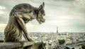 Gargoyle on the Cathedral of Notre Dame de Paris looks at the Eiffel Tower, Paris, France Royalty Free Stock Photo