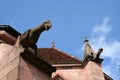 Gargoyle, cathedral of Saint-DiÃÂ©-des-Vosges