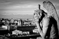 Gargoyle at Cathedrale Notre Dame de Paris noire Royalty Free Stock Photo