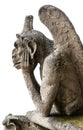 Gargoyle or chimera of Notre Dame de Paris isolated on white background, France