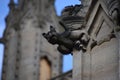 Gargoyle on church Royalty Free Stock Photo