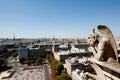 Gargoyle contemplating Paris Royalty Free Stock Photo