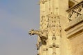 Gargoyle, Agchitecture detail roman catholic cathedral of Rouen on dark sky, France