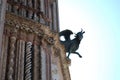 Gargoyle on the facade of the Cathedral of Orvieto. Italy Royalty Free Stock Photo