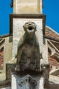 Gargoyle on the facade of the Saint-Pierre church, Dreux, France