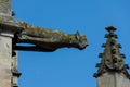 Gargoyle on the facade of the Saint-Pierre church, Dreux, France