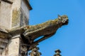 Gargoyle on the facade of the Saint-Pierre church, Dreux, France