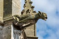 Gargoyle on the facade of the Saint-Pierre church, Dreux, France