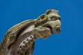 Gargoyle on the facade of the Saint-Pierre church, Dreux, France