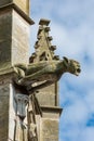 Gargoyle on the facade of the Saint-Pierre church, Dreux, France