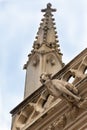 Gargoyle on the facade of the St. Jean cathedral, Lyon, France