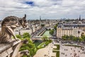 Gargoyle Notre Dame Church Old Buildings Paris France Royalty Free Stock Photo