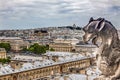 Gargoyle Notre Dame Church Old Buildings Paris France Royalty Free Stock Photo