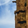 Gargoyle or gargouille - Carcassonne, France Royalty Free Stock Photo