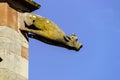 Gargoyle on a gothic cathedral, detail of a tower on blue sky ba Royalty Free Stock Photo