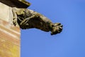 Gargoyle on a gothic cathedral, detail of a tower on blue sky ba Royalty Free Stock Photo