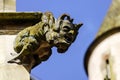 Gargoyle on a gothic cathedral, detail of a tower on blue sky ba Royalty Free Stock Photo