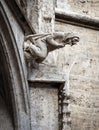 Gargoyle like medieval witch on wall of Rathaus or New Town Hall on Marienplatz Square, Munich, Bavaria, Germany Royalty Free Stock Photo