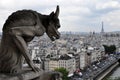 Gargoyle looking at Paris Royalty Free Stock Photo