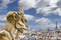 Gargoyle looking to Eiffel tower Royalty Free Stock Photo