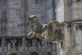Gargoyle on the Milan Cathedral, Italy Royalty Free Stock Photo