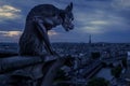 Gargoyle at night during energy crisis, Paris, France. Full blackout of city Royalty Free Stock Photo