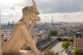 Gargoyle on Notre Dame Cathedral and city of Paris close up, France Royalty Free Stock Photo