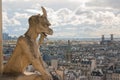 Gargoyle on Notre Dame Cathedral and city of Paris close up, France Royalty Free Stock Photo