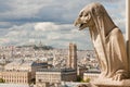 Gargoyle on Notre Dame Cathedral and city of Paris close up, France Royalty Free Stock Photo