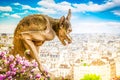 Gargoyle on Notre Dame Cathedral, France Royalty Free Stock Photo