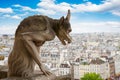 Gargoyle on Notre Dame Cathedral, France Royalty Free Stock Photo