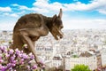 Gargoyle on Notre Dame Cathedral, France Royalty Free Stock Photo