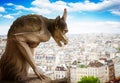 Gargoyle on Notre Dame Cathedral, France Royalty Free Stock Photo