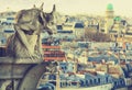 Gargoyle of Notre Dame Cathedral Royalty Free Stock Photo