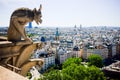 Gargoyle of Notre Dame de Paris