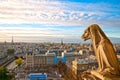 Gargoyle on Notre Dame de Paris Royalty Free Stock Photo