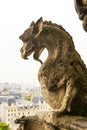 Gargoyle on Notre Dame de Paris Cathedral of Paris Royalty Free Stock Photo