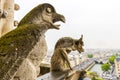 Gargoyle on Notre Dame de Paris Cathedral of Paris Royalty Free Stock Photo