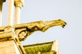 Gargoyle, Notre Dame de paris Church cathedral detail Royalty Free Stock Photo
