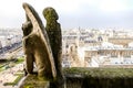 Gargoyle, Notre Dame de paris Church cathedral detail