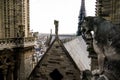 Gargoyle Notre Dame de paris Church cathedral detail, Photo image a Beautiful panoramic view of Paris Metropolitan City Royalty Free Stock Photo