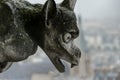 Gargoyle, Notre Dame de paris Church cathedral detail, Photo image a beautiful panoramic view of Paris Metropolitan City Royalty Free Stock Photo