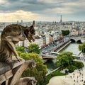 Gargoyle on Notre Dame de Paris looks at city, France