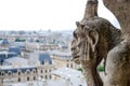 Gargoyle at Notre Dame Royalty Free Stock Photo