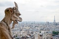 Gargoyle at Notre Dame Royalty Free Stock Photo